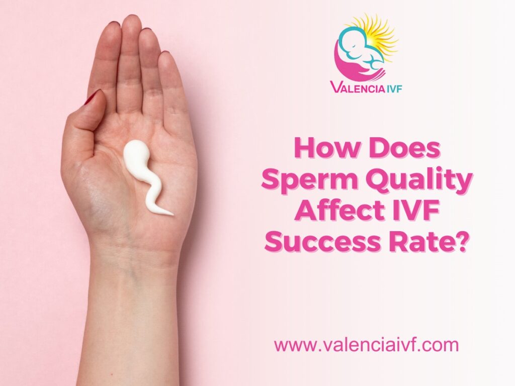 How Does Sperm Quality Affect IVF Success Rate?