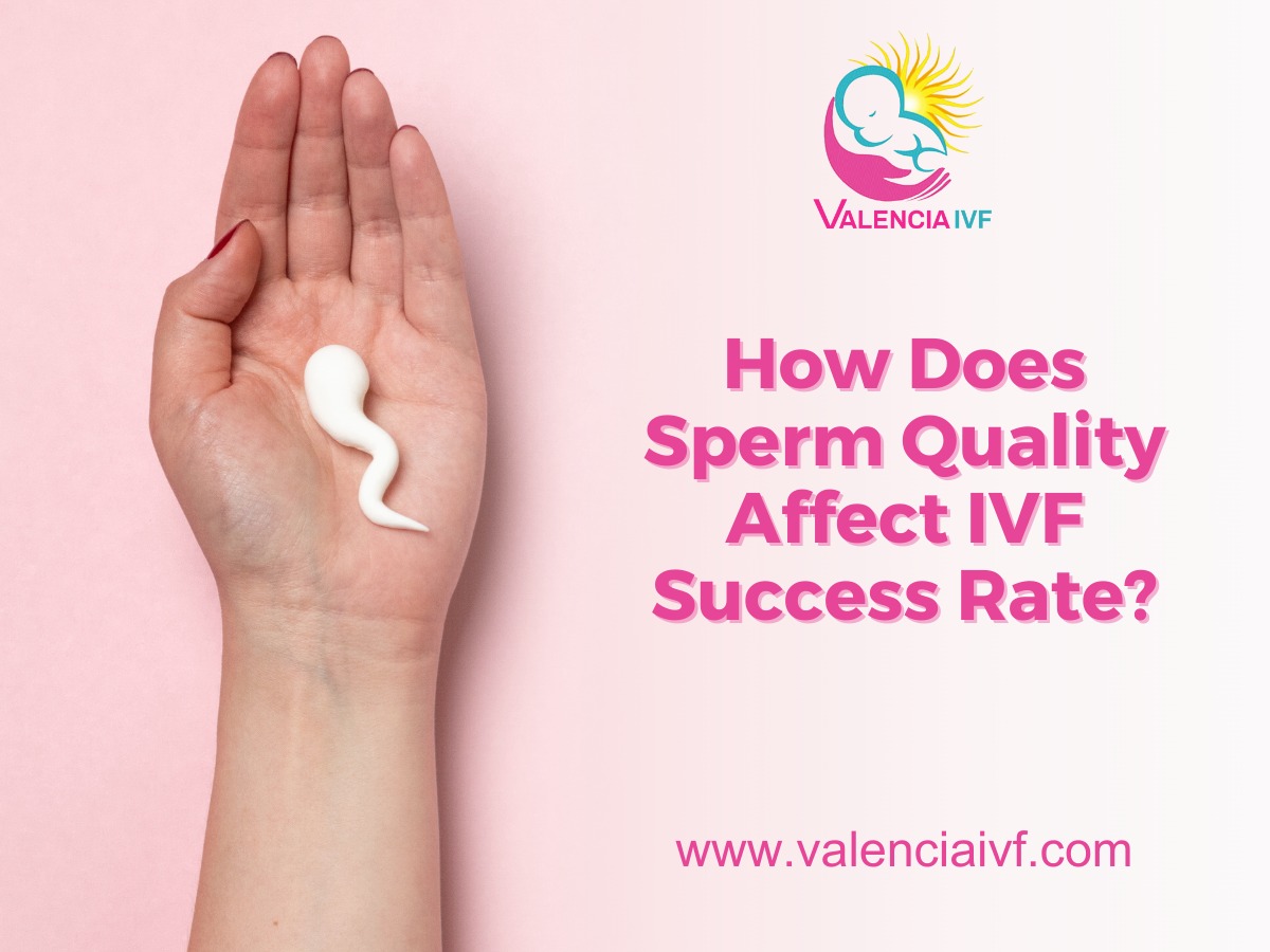 How Does Sperm Quality Affect Ivf Success Rate Valencia Ivf 6450