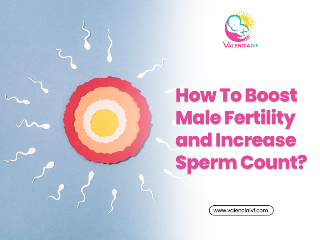 How To Boost Male Fertility and Increase Sperm Count?