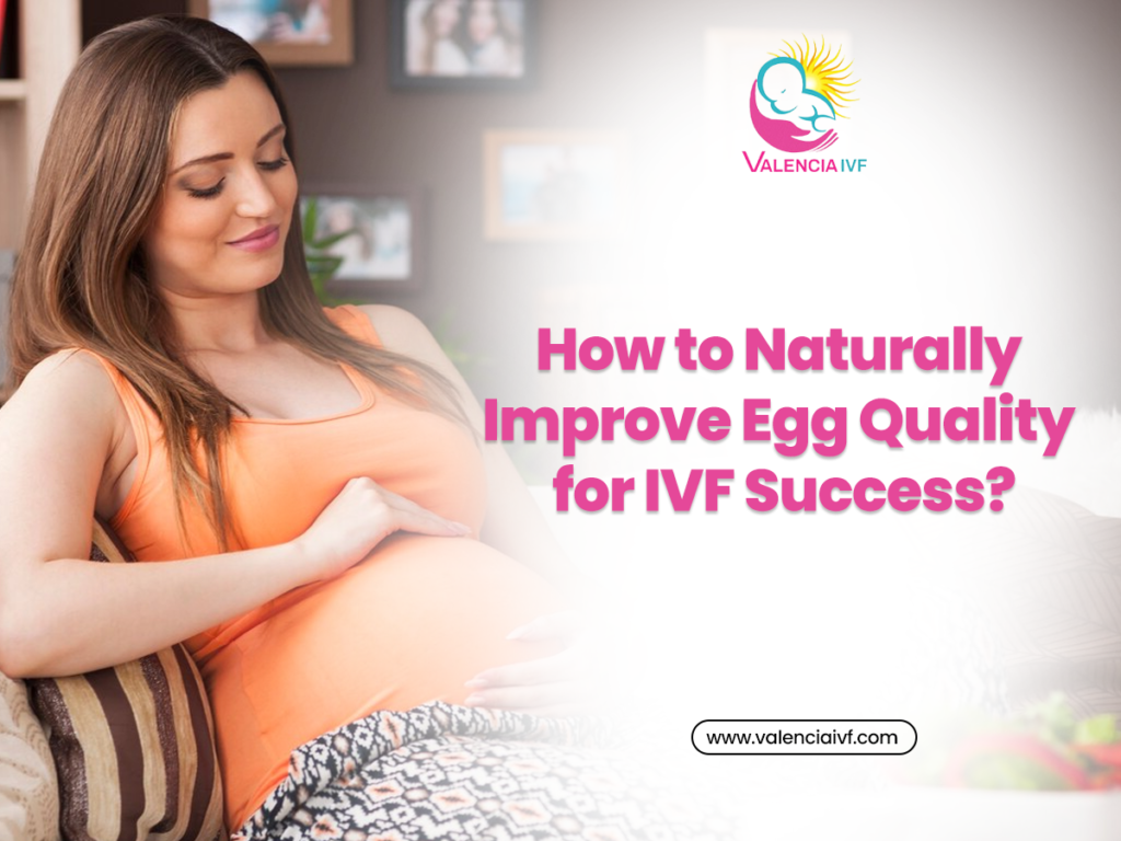 How to Naturally Improve Egg Quality for IVF Success?
