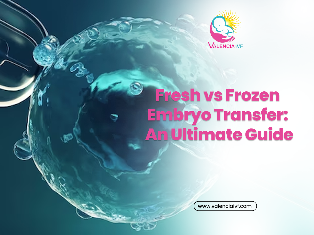 Fresh vs Frozen Embryo Transfer: An Ultimate Guide