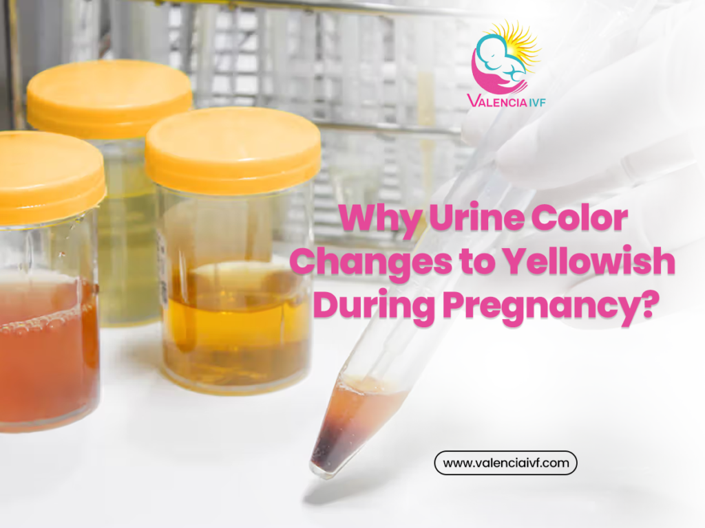Why Urine Color Changes to Yellowish During Pregnancy?
